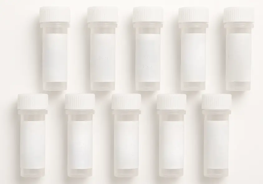 BST2 293T Cell Transient Overexpression Lysate(Denatured)