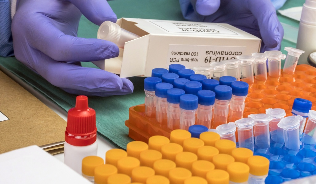QuantiChrom™ Glutathione Assay Assay 250
