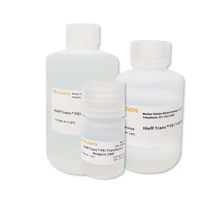 Hieff Trans™ Universal Transfection Reagent - 1 mL
