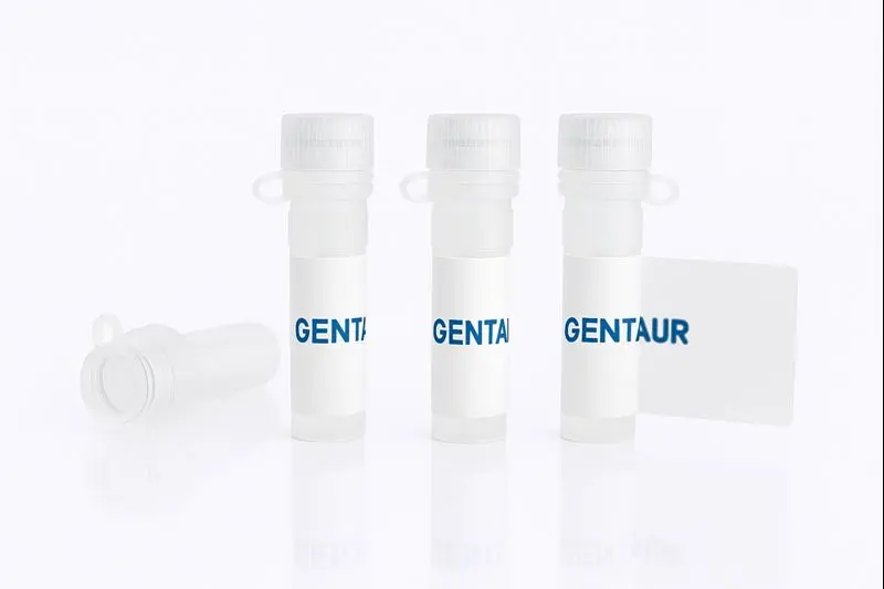 BTK, Human (Active, sf9, GST)