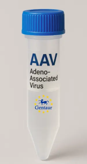 BRIX1 AAV Vector (Mouse) (CMV)