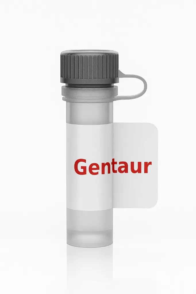 BMP4 Rabbit Polyclonal Antibody