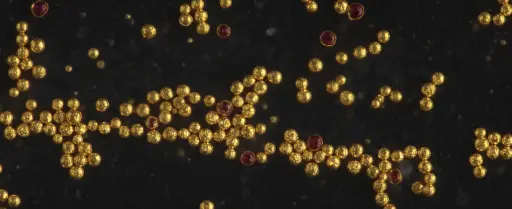 [sk_2640] Protein A/G 4FF column